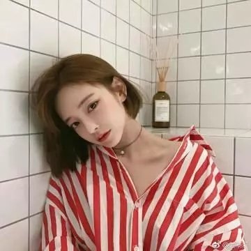 怒放的花儿